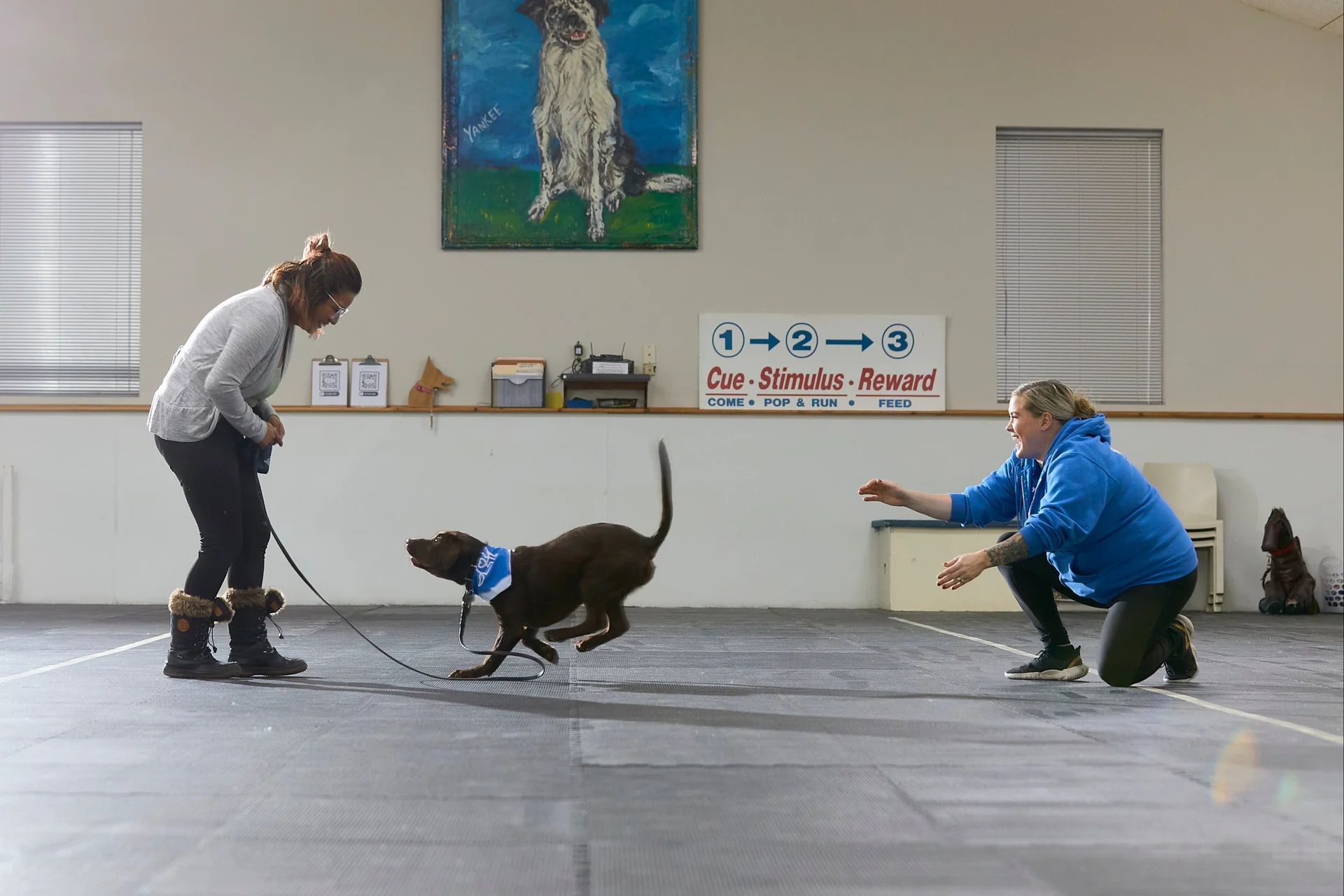 Expert Training for Better Living