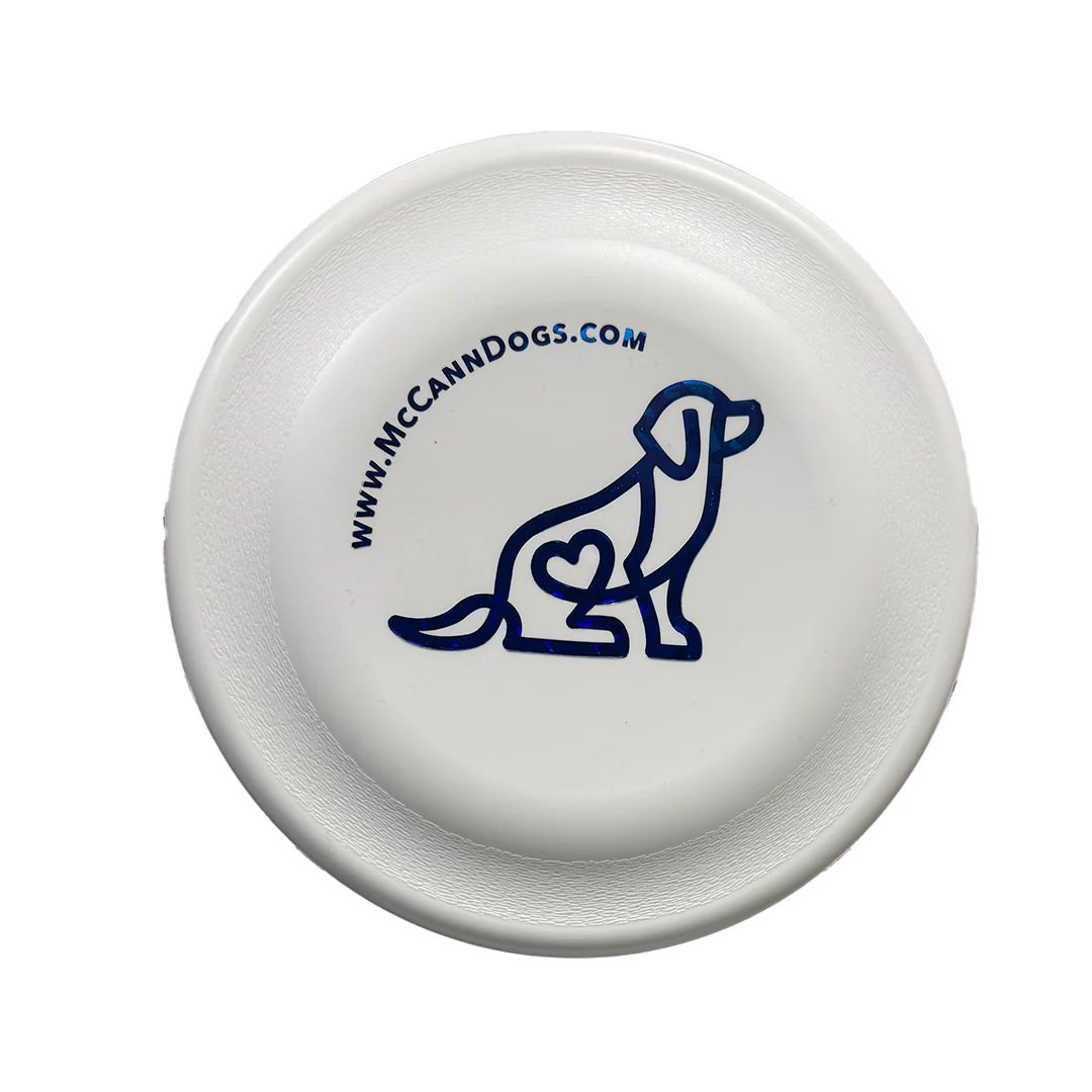 Interactive Dog Toys