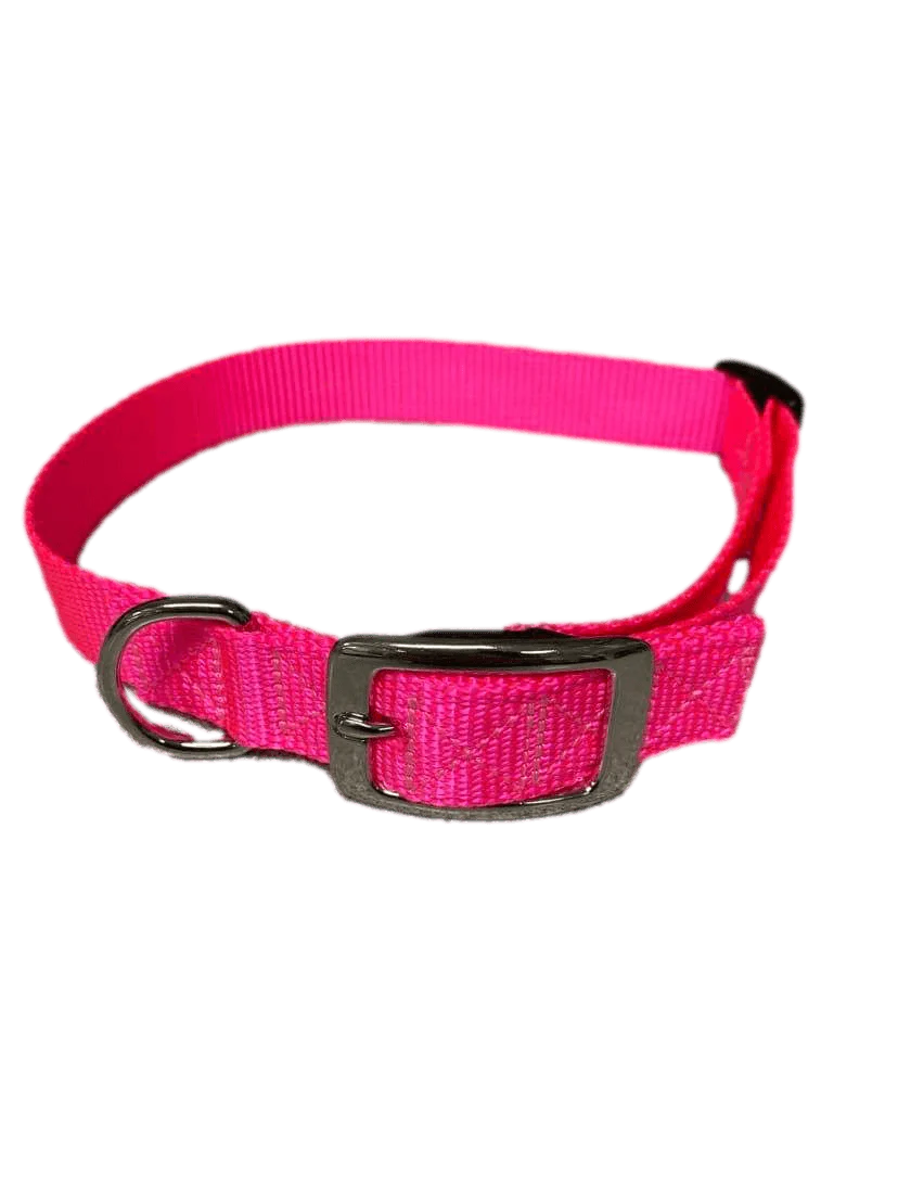 Flat Buckle Dog Collar (Adjustable) - Image 5