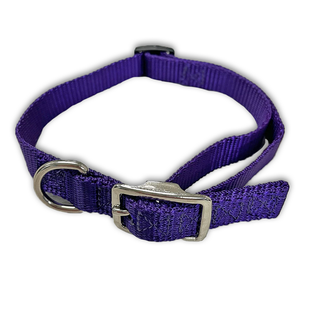 Flat Buckle Dog Collar (Adjustable) - Image 9