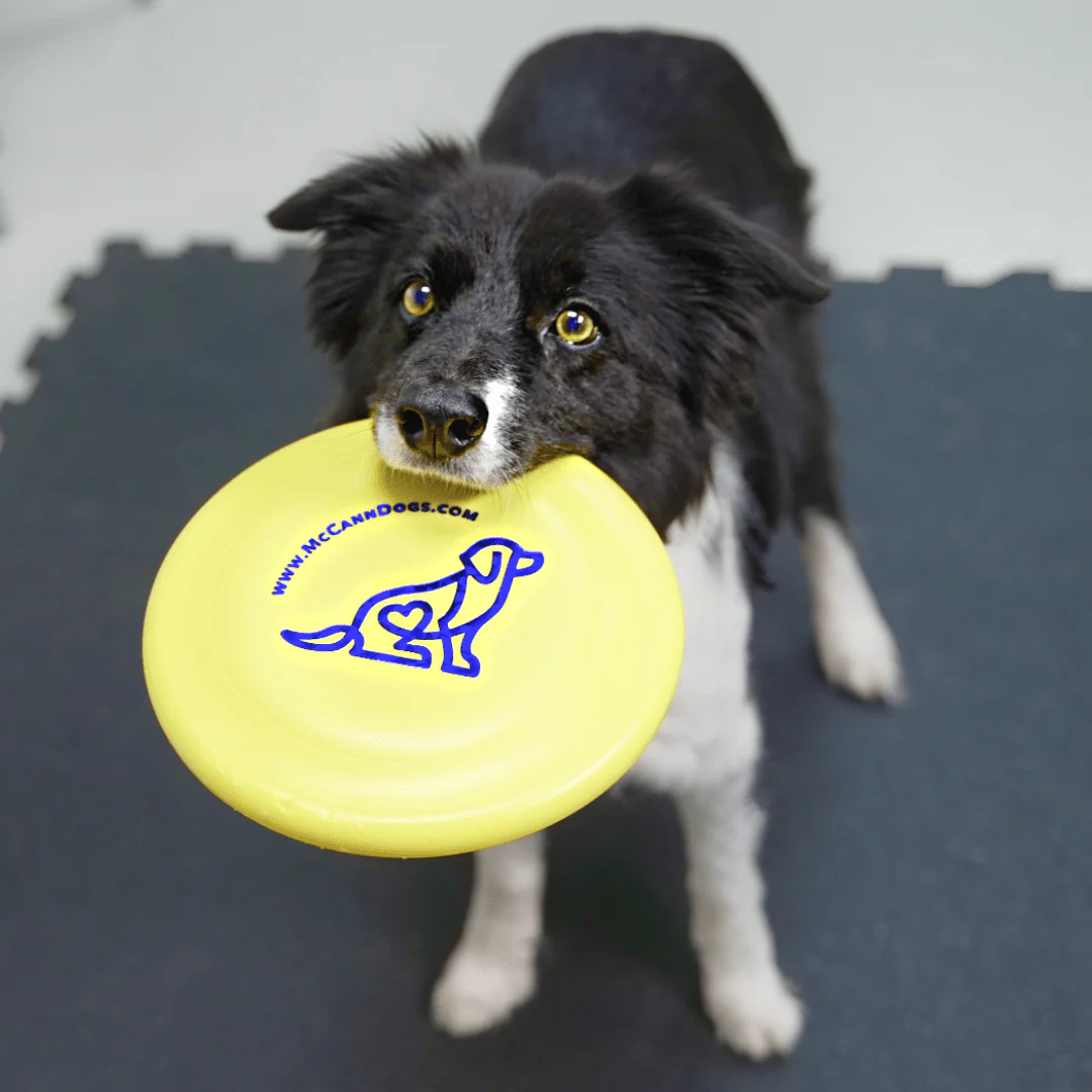 McCann Dogs HyperFlite SofFlite Disc - Image 4